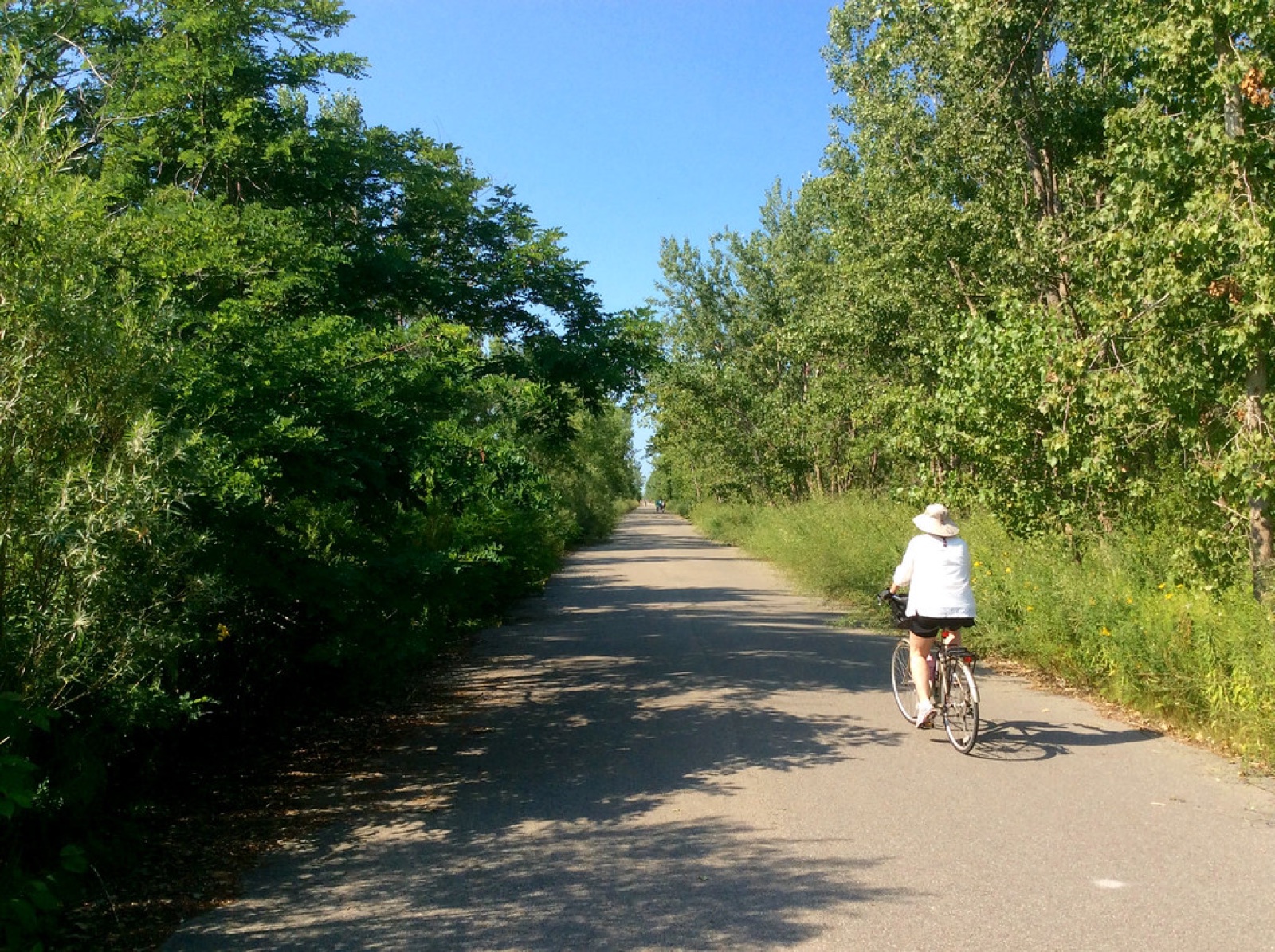 A cyclist riding away along a paved path surrounded by dense summer trees